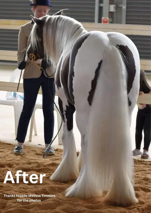 Thumbnail: HAIRY PONY PURPLE HAIR REPAIR TREATMENT