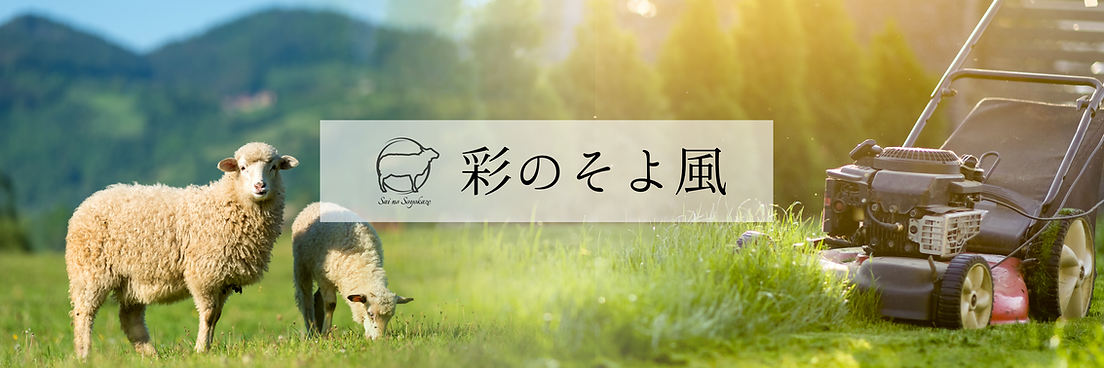 AdobeStock_258353380.png