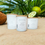 Thumbnail: Lime & Coconut