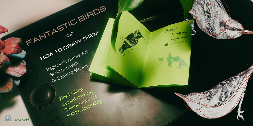 Fantastic Birds & How to Draw Them