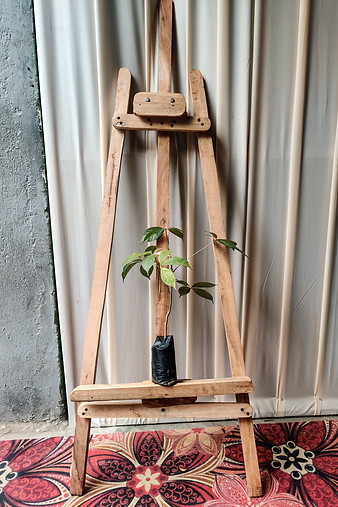 Art4Conservation and Climate Action exhibtion entrance