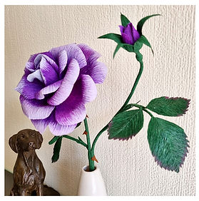Rose made to celebrate Queen Elizabeth's Platinum Jubilee in purple and platinum colours