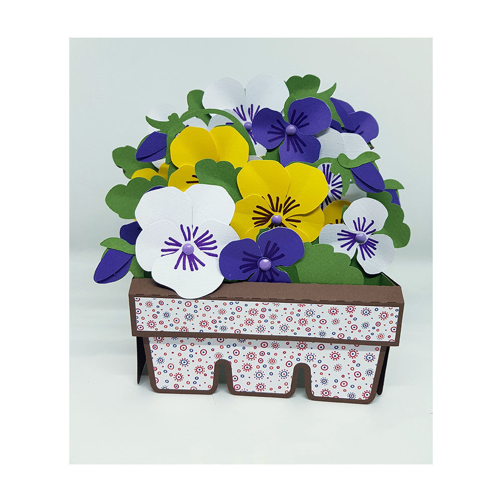 Pansies 3D Box Card Front