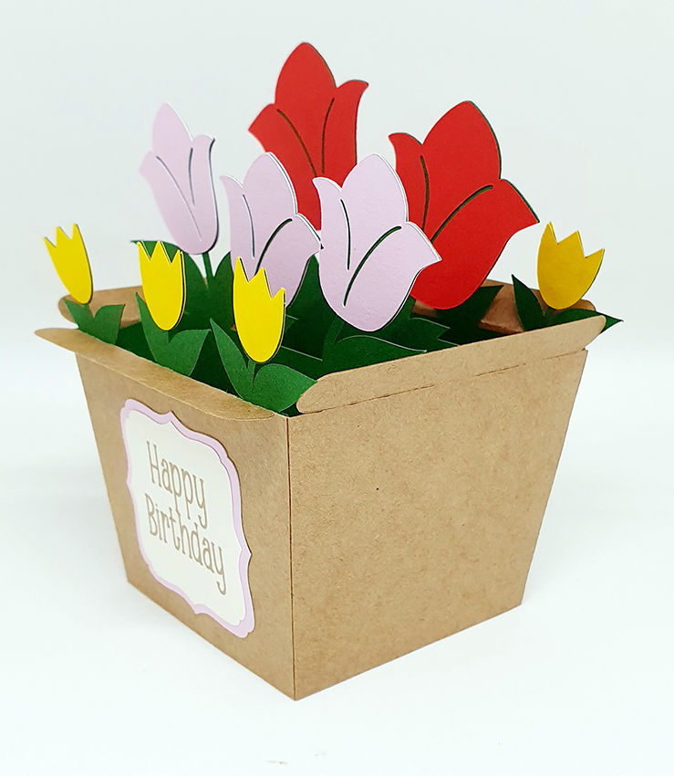 Tulip 3D Box Card Side 1
