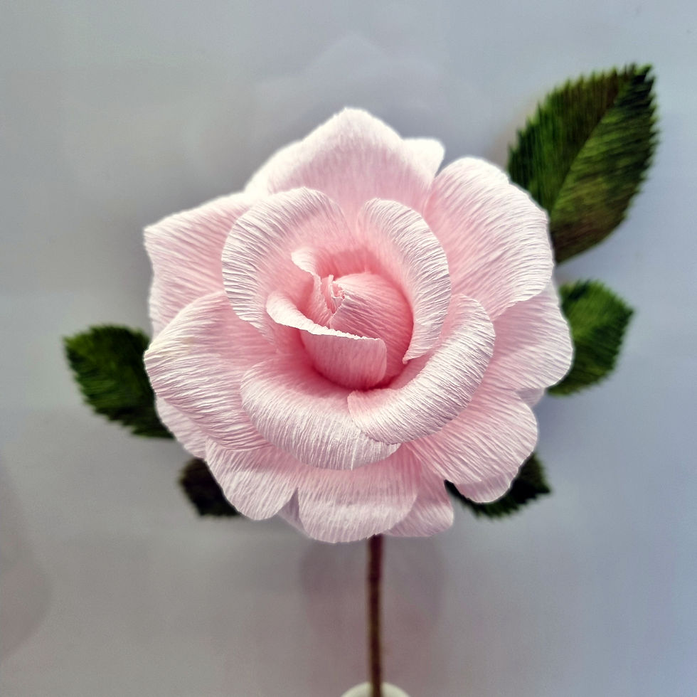 Crepe Paper Rose made in memory of Pat