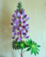 Crepe Paper Lupin close up
