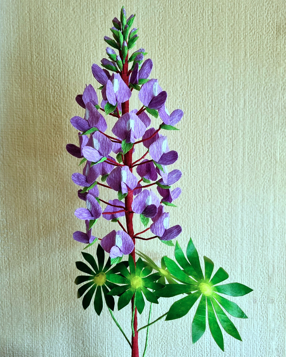 Crepe Paper Lupin close up