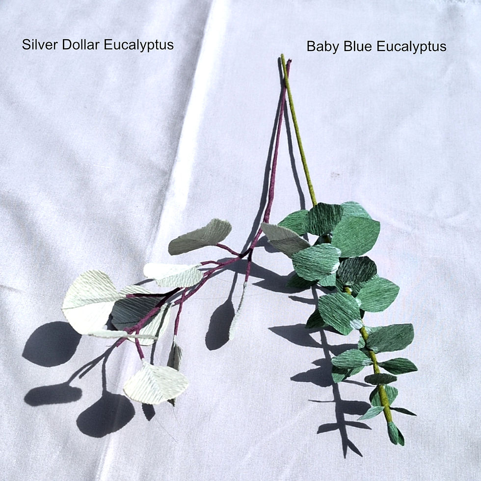 Thumbnail: Silver Dollar and Baby Blue Eucalyptus