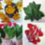 Collage of the centres, cut petals and 2 sizes of leaves that make up the Crepe Paper Camellia Branch