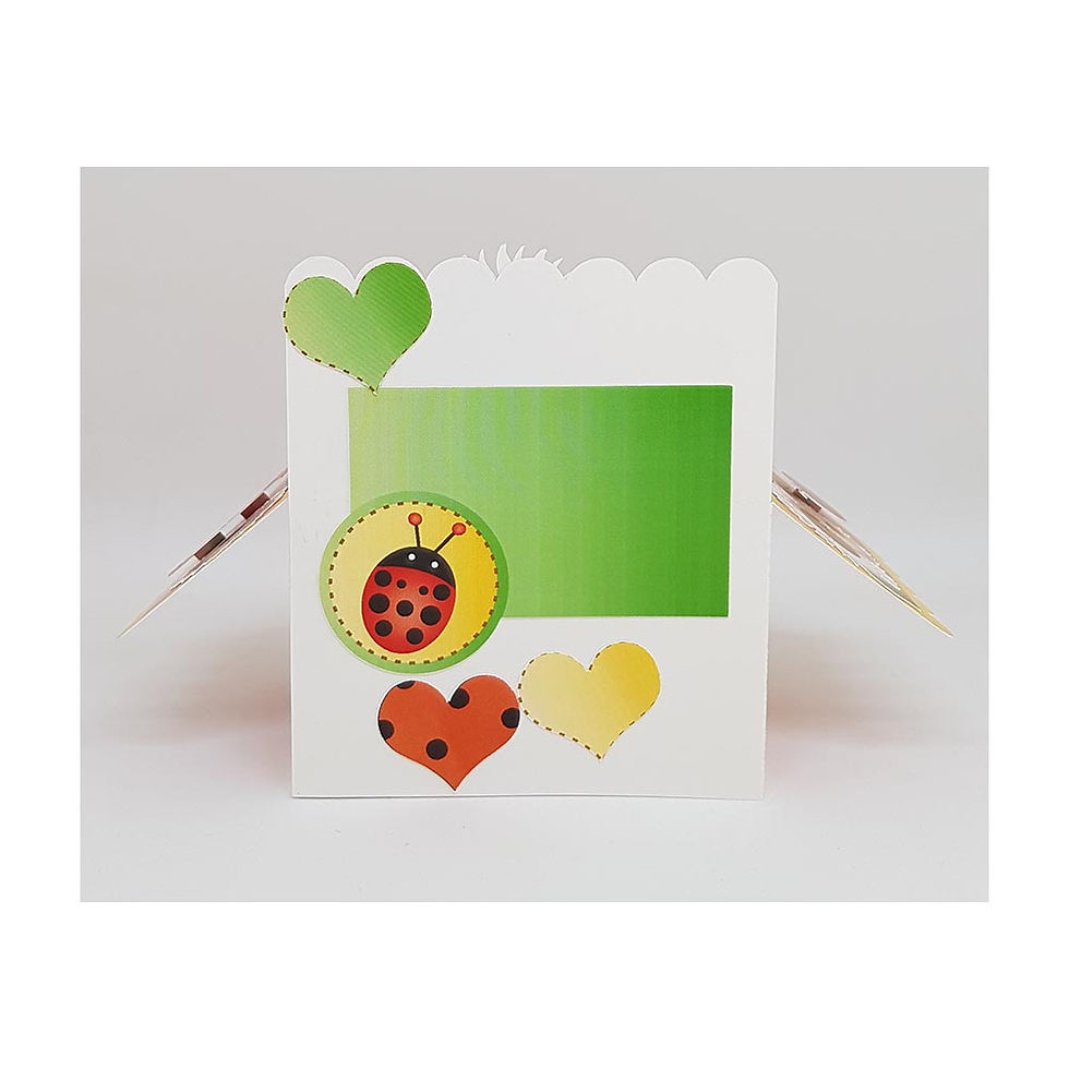 Thumbnail: Ladybird 3D Box Card