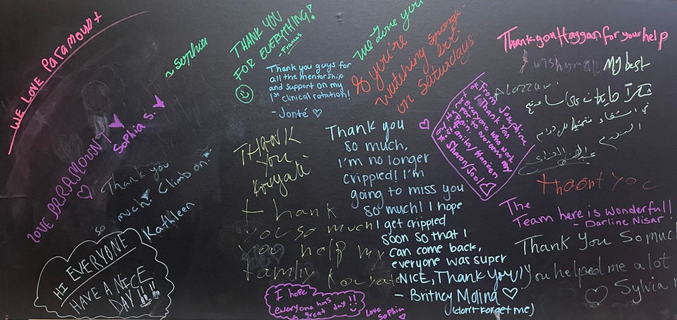 Paramount Rehab wall reviews