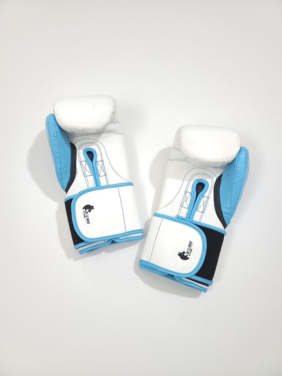 Thumbnail: First Step Hook & Loop Anime Series Boxing Gloves