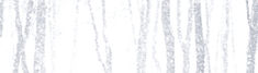 Snowy Trees Transparent_edited_edited_ed