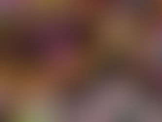 Carnaval na pandemia: como cuidar da saúde?