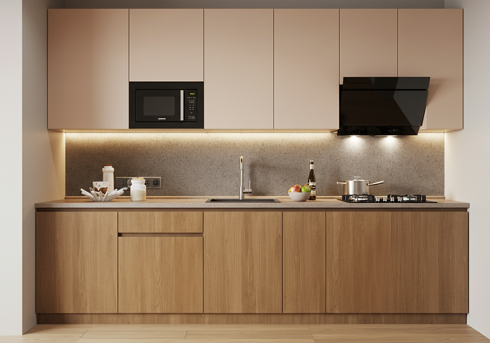 Modular Kitchen Designs