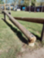 Safety assessment of fallen wooden log obstacle in outdoor play area