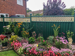 Vibrant flower garden with colorful blooms and green metal lattice-top fence.