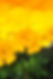 background9.jpeg
