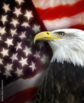Elks Americanism