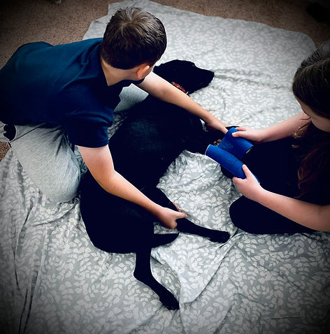 CassOwen bandaging1.JPEG