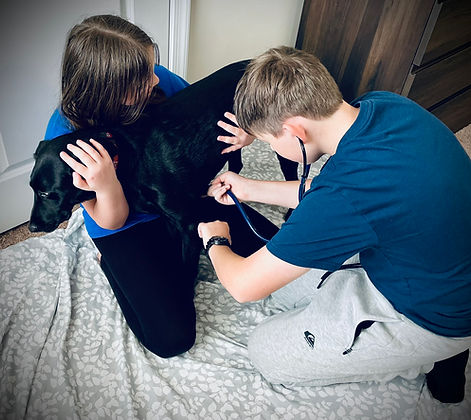 CassOwen bandaging 3.JPEG