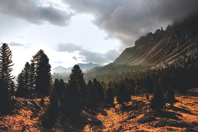 pexels-eberhard-grossgasteiger-707344.jpg