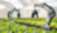Smart_Farming_image_shutterstock_s.jpg