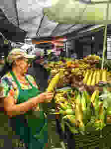 Comerciante com expectativa pra venda do milho