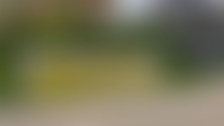 [화성시청] 저단형 현수막게시대