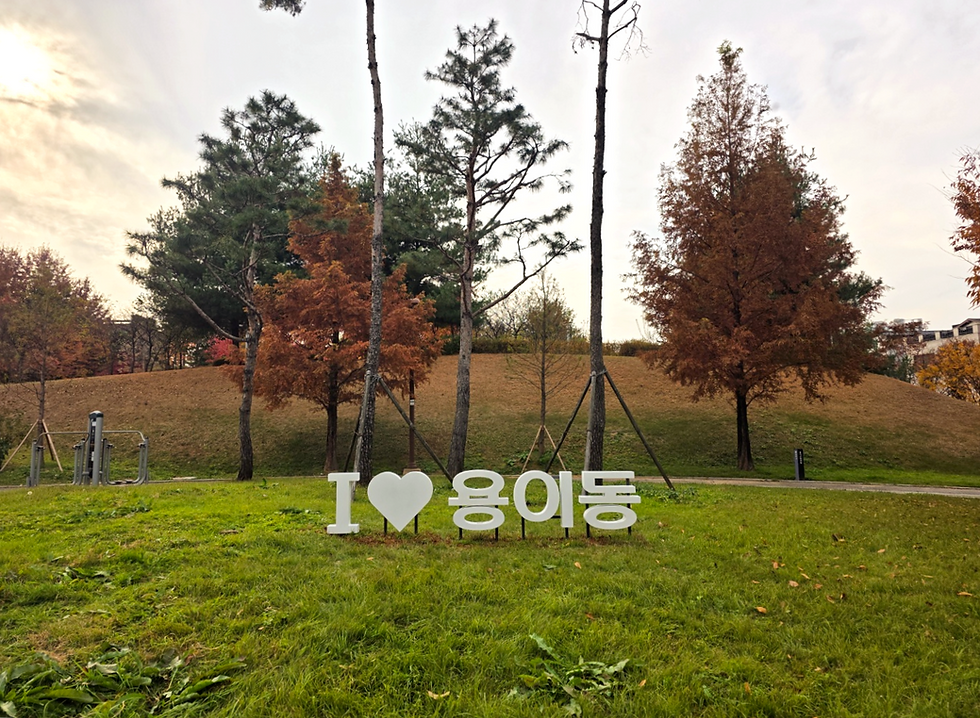 [평택시청] 용이근린공원 채널 철재글자간판 · 레터링표찰사인 감성문구 포토존