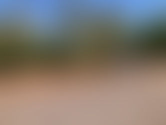 Wenty Newsletter 29/1/24