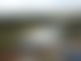 Wenty Newsletter 30/10/23