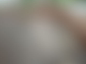 Wenty Newsletter 11/10/2022