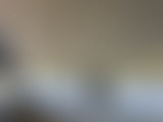 Wenty Newsletter 22/1/24