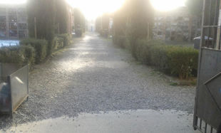 Barriere architettoniche - Una giornata al cimitero comunale di Castelvetro