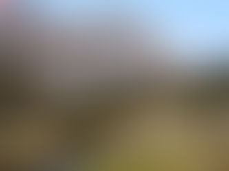 萬葉集16 Le Manyōsyū en français