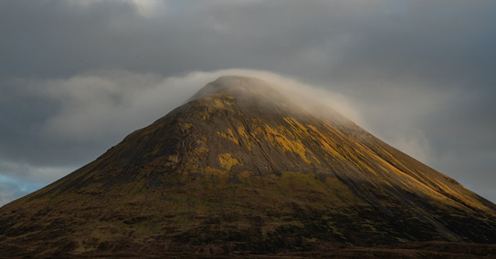 DSC_6219.jpg