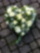 IMG_0051.jpeg