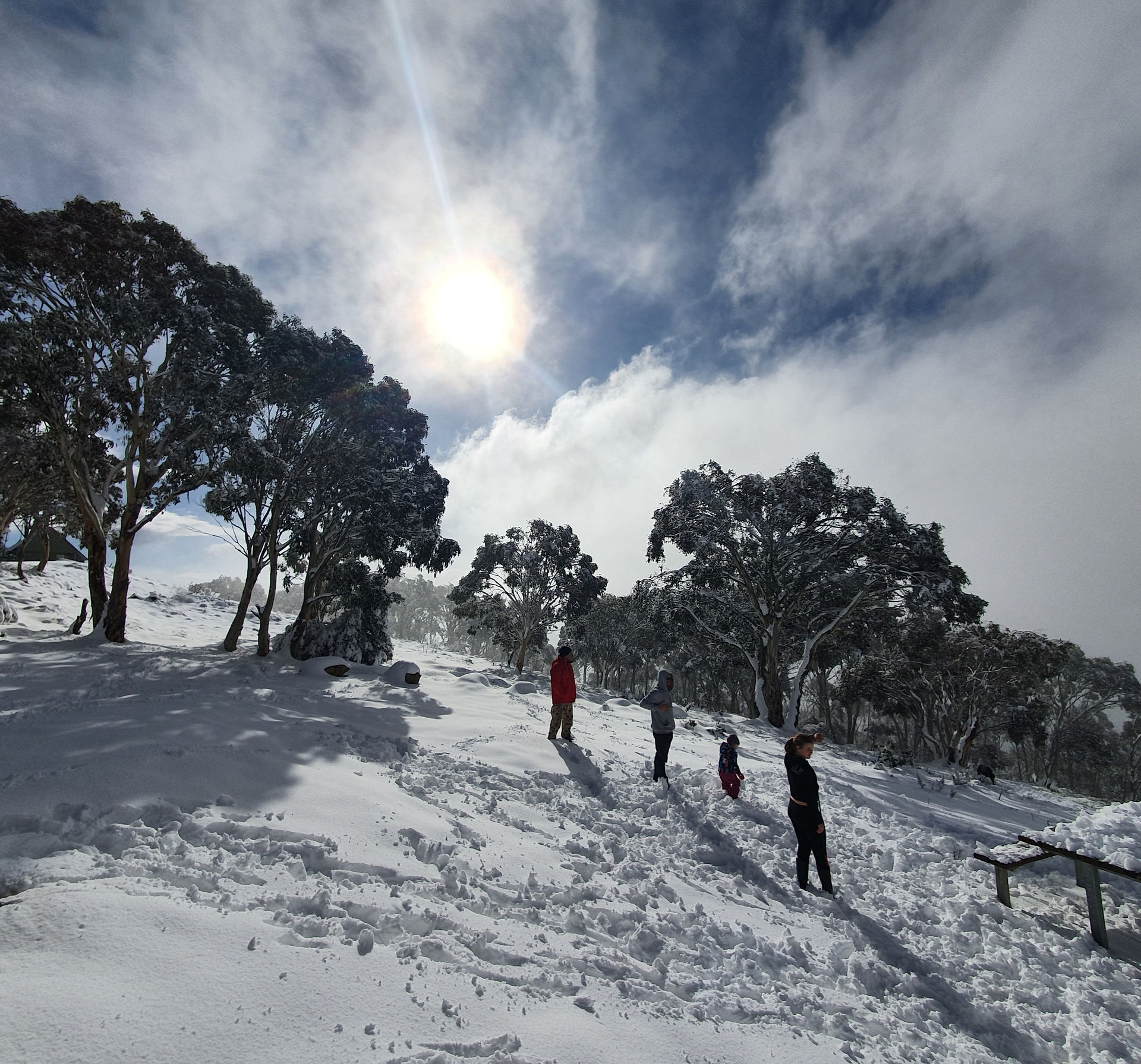 snowball fight on mount terrible 4wd adventure victoria