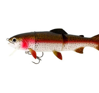 Fishing Bait