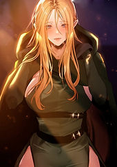 This World's harem Knight