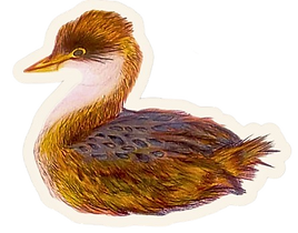 image-removebg-preview (22).png