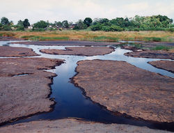 Pitch Lake