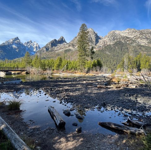 jenny lake grand tetons 