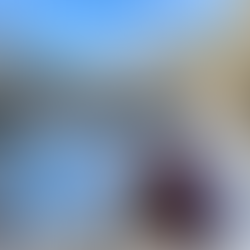 dog at eagle lake lake tahoe