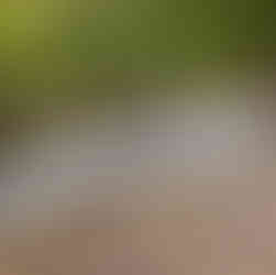 slippery rock chute pond county park