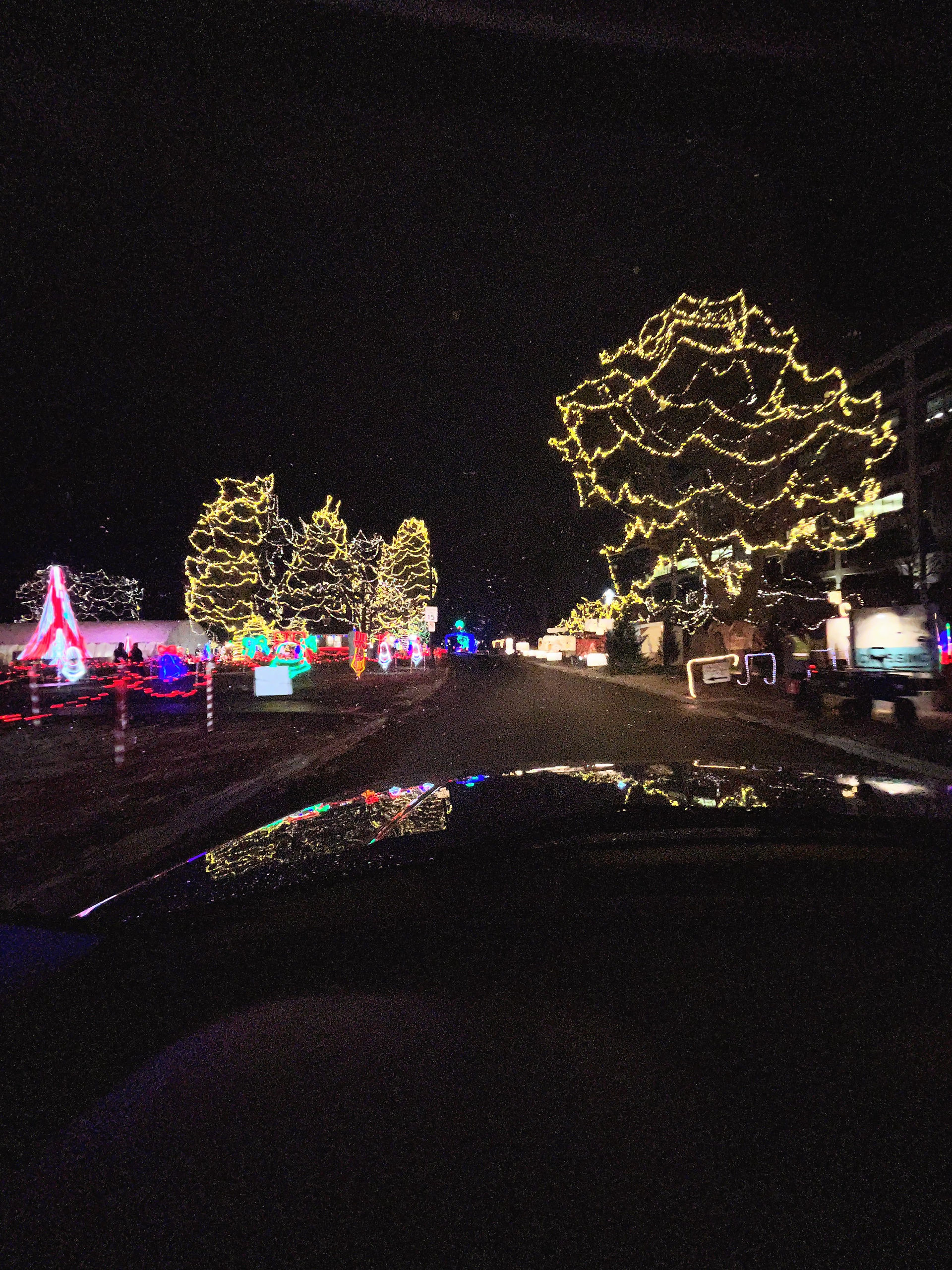 rotary light display at riverside park christmas in la crosse wisconsin
