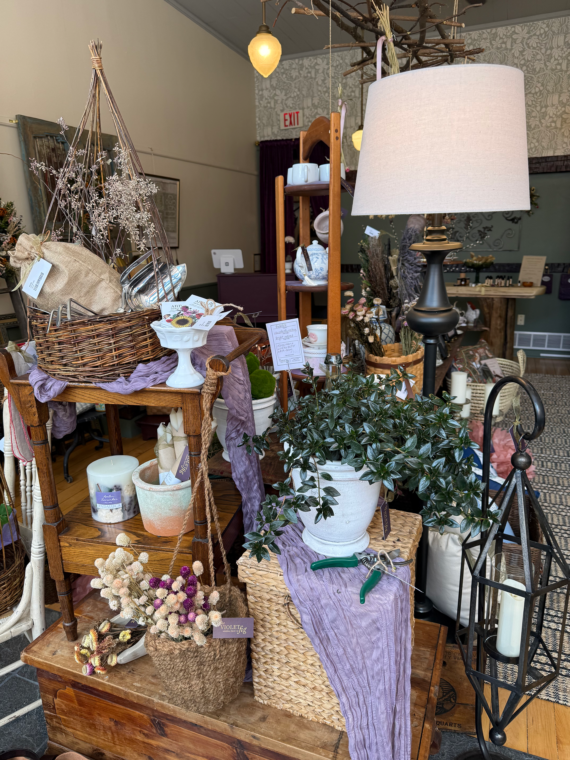 Inside of Violet Fig MIneral POint