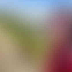 woman wearing sunglasses walking dog at horicon marsh in horicon wisconsin lake winnebago 