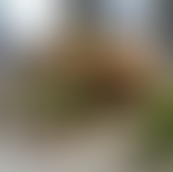 cheddar bacon bagel miss molly's cafe wauwatosa